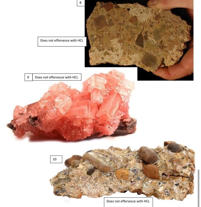 Solved Sedimentary Rock Identification Key Clastic