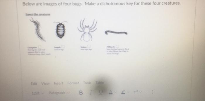 Below are images of four bugs. Make a dichotomous key | Chegg.com