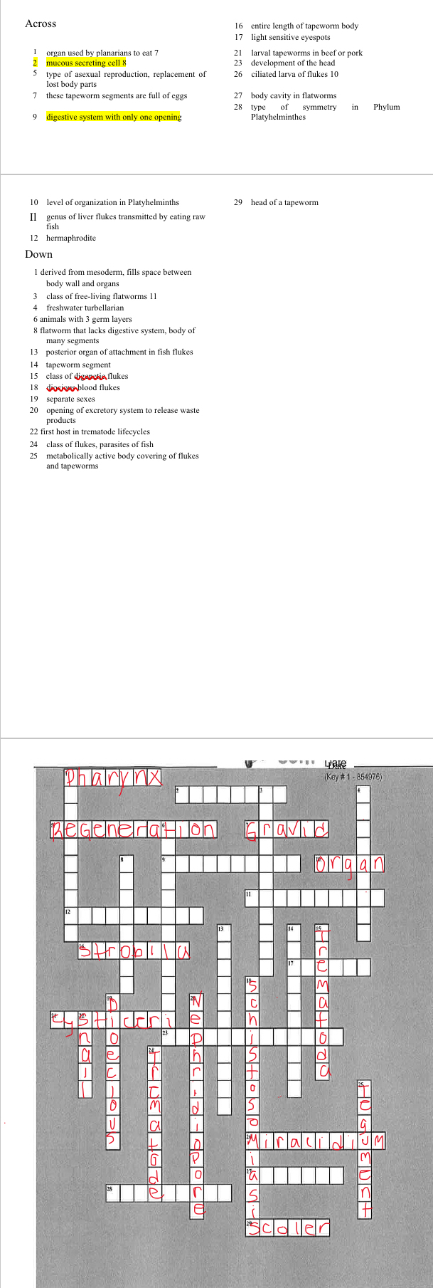 Solved Complete the missing words in zoology crossword.