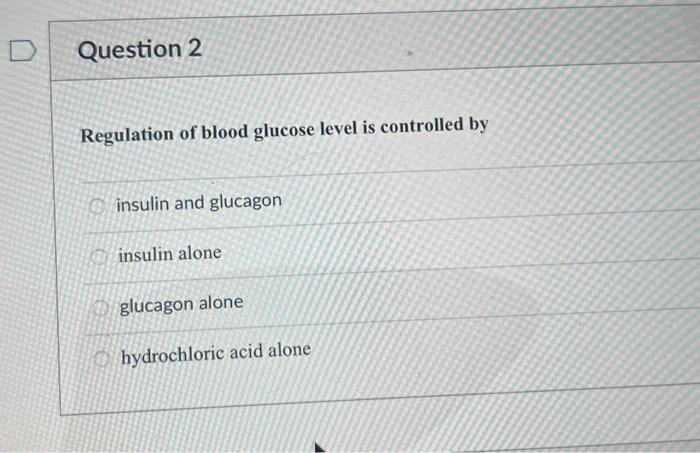 describe the function of insulin and glucagon in regulating blood glucose level