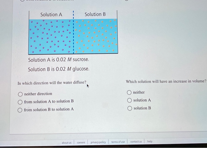 Solved 17 > Consider The Solutions In Each Image That Are | Chegg.com