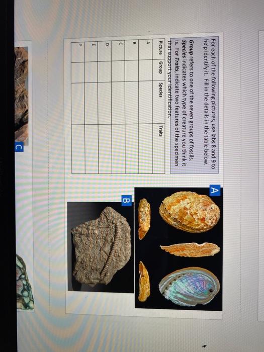 Solved А For each of the following pictures, use labs 8 and | Chegg.com