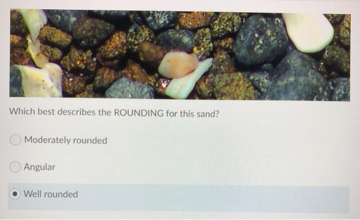 Solved Texture Questions Question 1 (1 point) Saved Which | Chegg.com