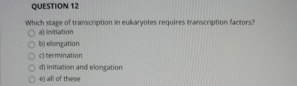 Solved QUESTION 12 Which stage of transcription in | Chegg.com
