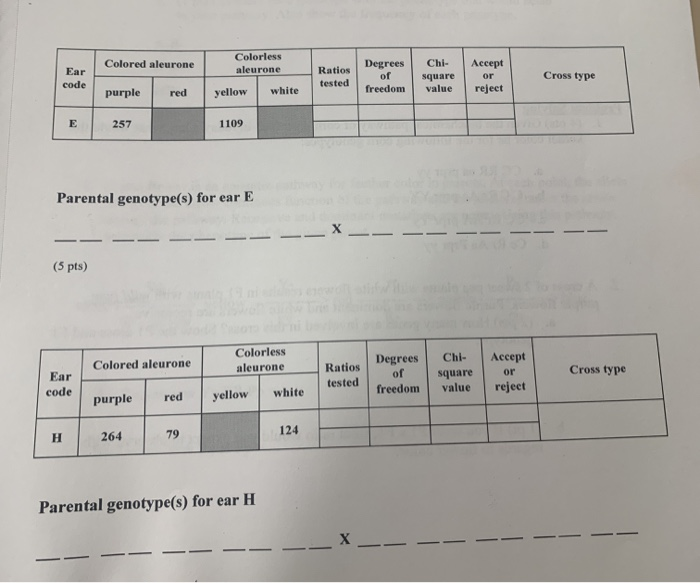 nr9221922 on X: According to this test, I have 52.8 CPS (Click