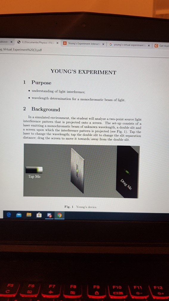 young's experiment online