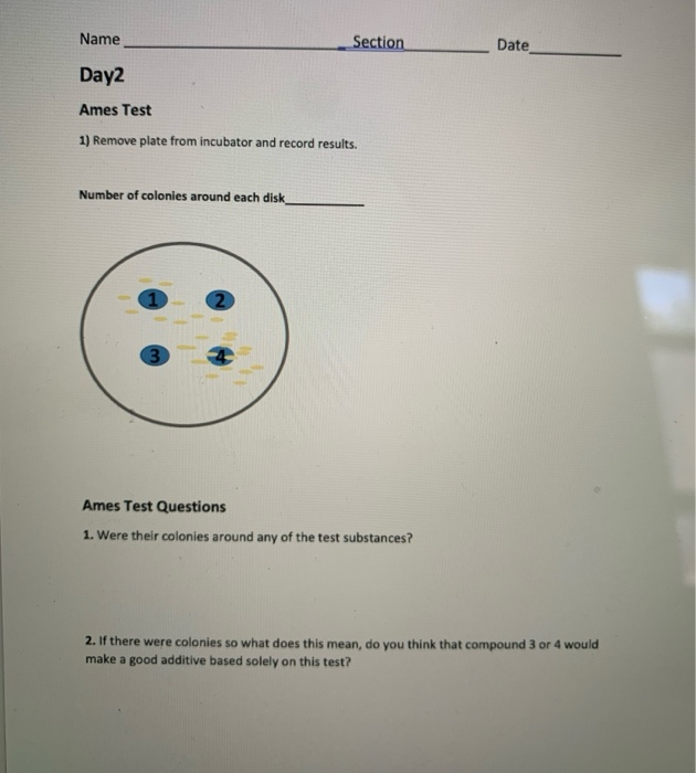Solved Lab 5 Bacterial Transformation, Ames Test, and