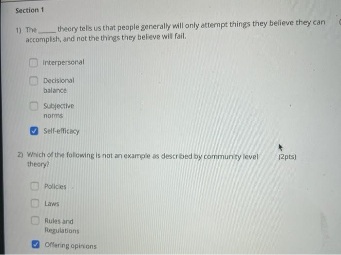 Section 1 1) The theory tells us that people generally will only attempt things they believe they can accomplish, and not the