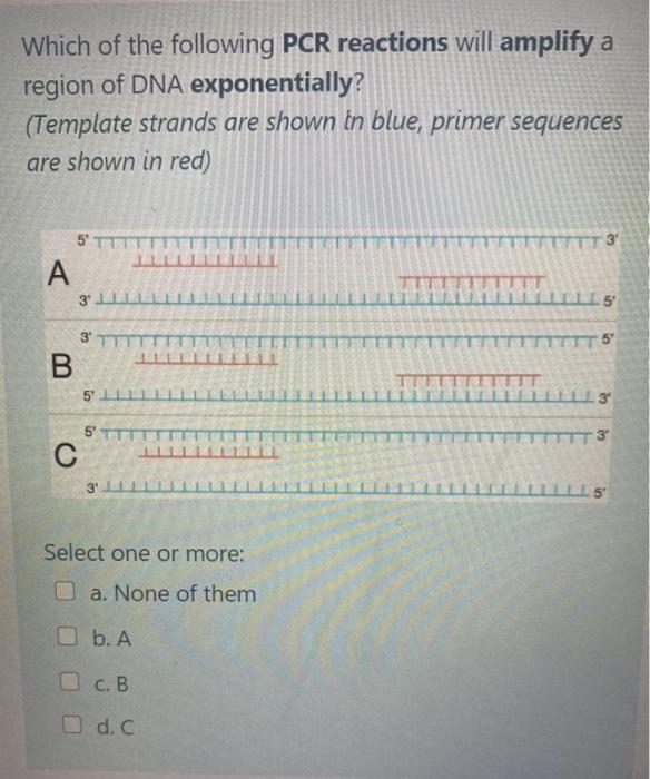 Solved Which Of The Following PCR Reactions Will Amplify A | Chegg.com