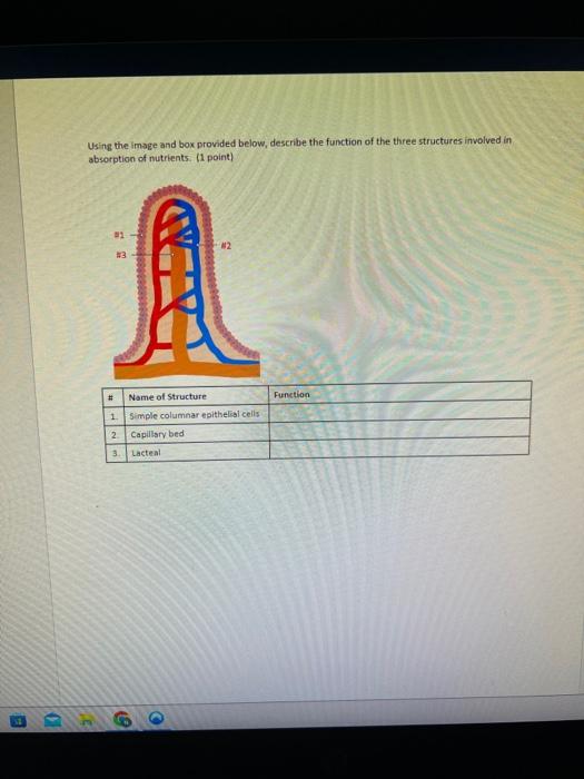 Solved Digestive System Diagram In The Last Column Of The Chegg Com