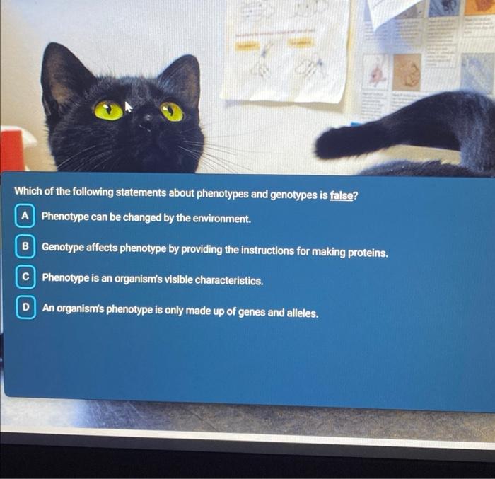 Solved Which of the following statements about phenotypes | Chegg.com
