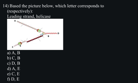 Solved Based the picture below, which letter corresponds to | Chegg.com