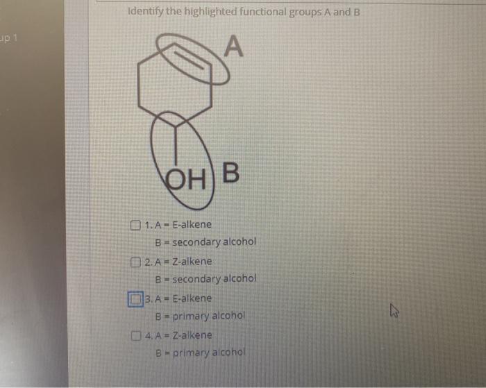 Solved Identify the highlighted functional groups A and B 1p | Chegg.com