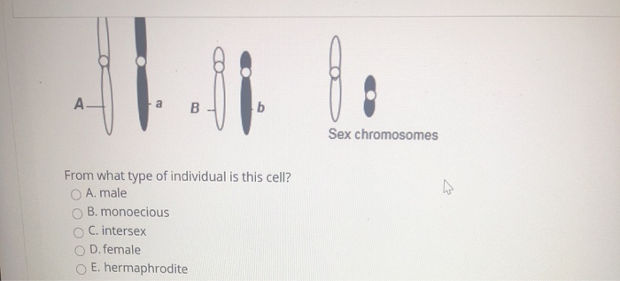 Solved One form of hemophilia is caused by a sex-linked | Chegg.com