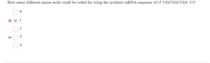 Solved How many different amino acids could be coded for | Chegg.com