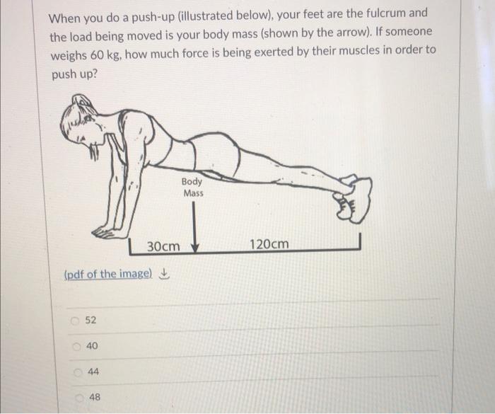 Solved When you do a pushup (illustrated below), your feet