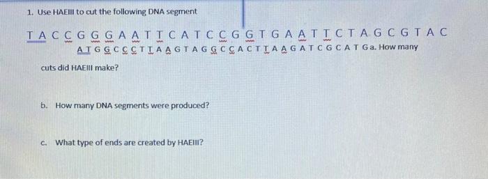 Solved Restriction enzymes are designed to cut (or deave) | Chegg.com