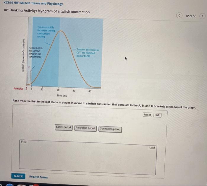 Solved Ch10 Hw Muscle Tissue And Physiology Art Ranking Chegg Com