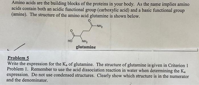 Solved Amino acids are the building blocks of the proteins | Chegg.com