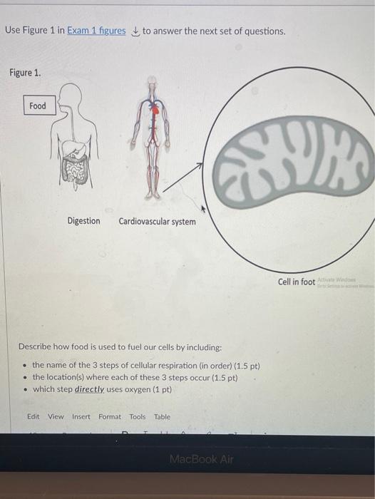 Solved Use Figure 1 in Exam 1 figures to answer the next set | Chegg.com