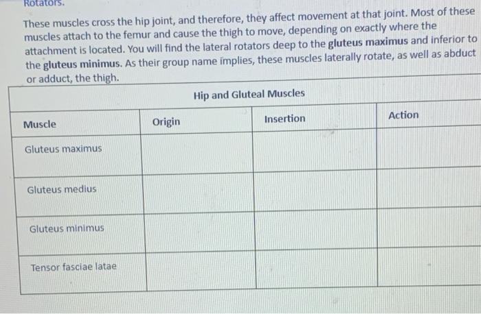 Solved Rotators These Muscles Cross The Hip Joint And