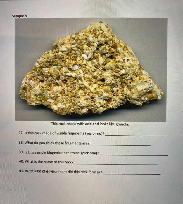 Solved Sample 8 This rock reacts with acid and looks like
