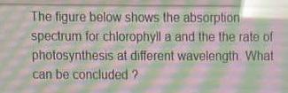 Solved The figure below shows the absorption spectrum for | Chegg.com