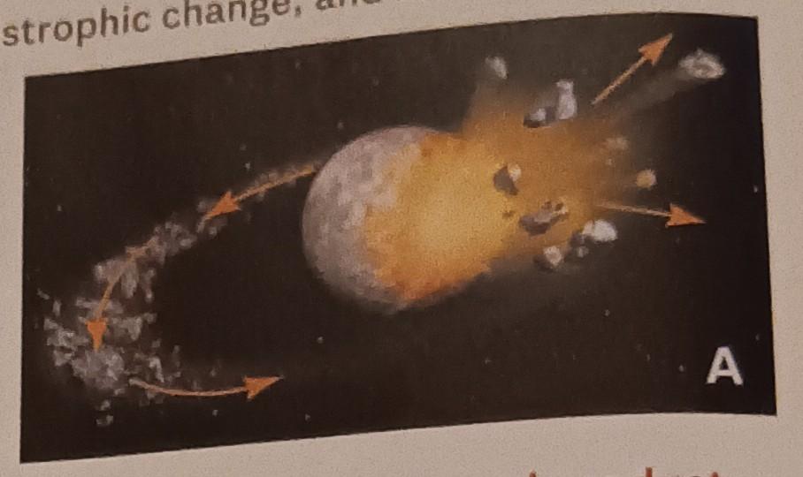 [Solved] 1. What example of unidirectional change does Diag