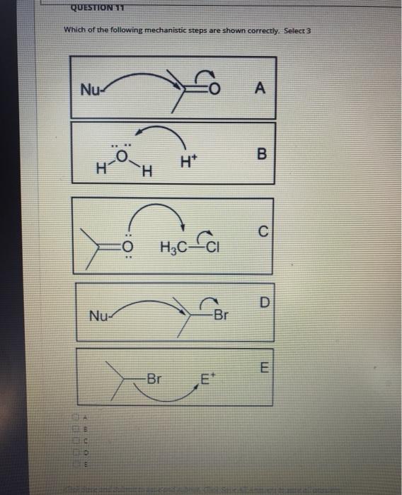 Solved QUESTION 11 Which of the following mechanistic steps | Chegg.com