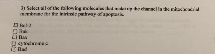 Solved 3) Select all of the following molecules that make up | Chegg.com