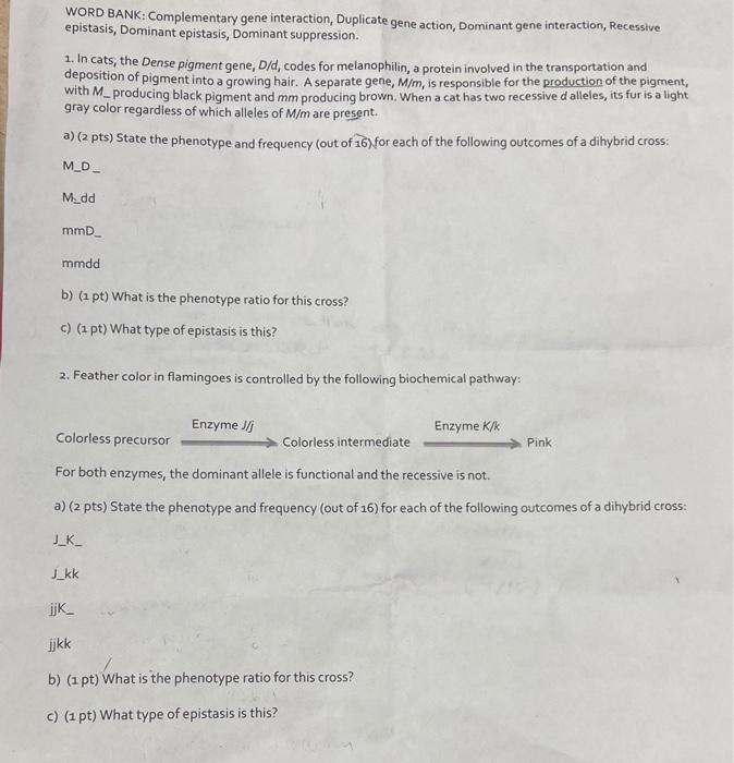 Solved WORD BANK Complementary gene interaction, Duplicate