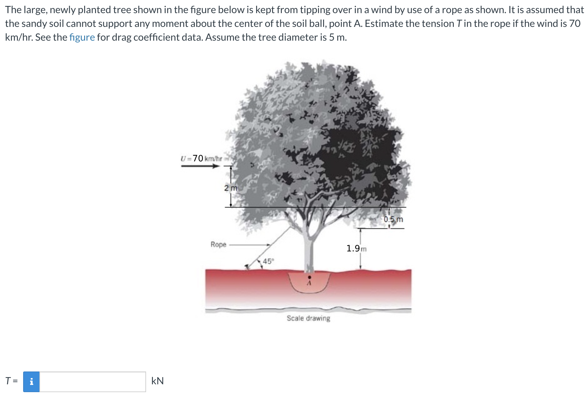Solved The large, newly planted tree shown in the figure | Chegg.com