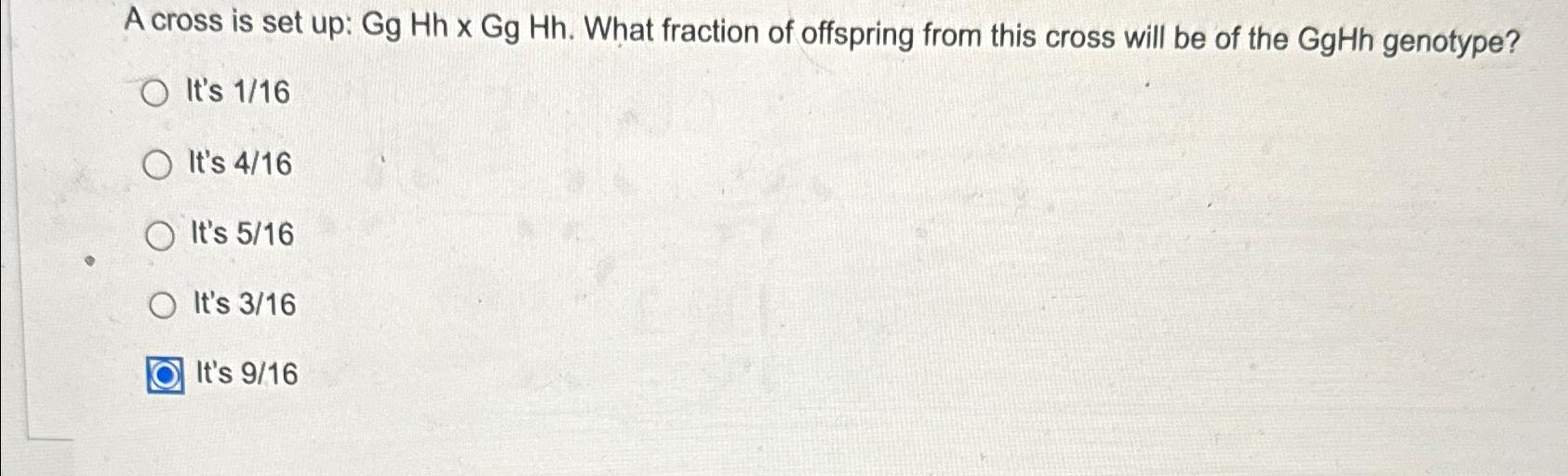 Solved A cross is set up: GgHh×GgHh. ﻿What fraction of | Chegg.com