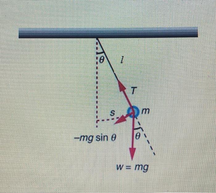 7 T M 8 Mg Sin E W Mg Exercise 1 Using Newton S Chegg Com