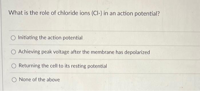 action potential chloride ions