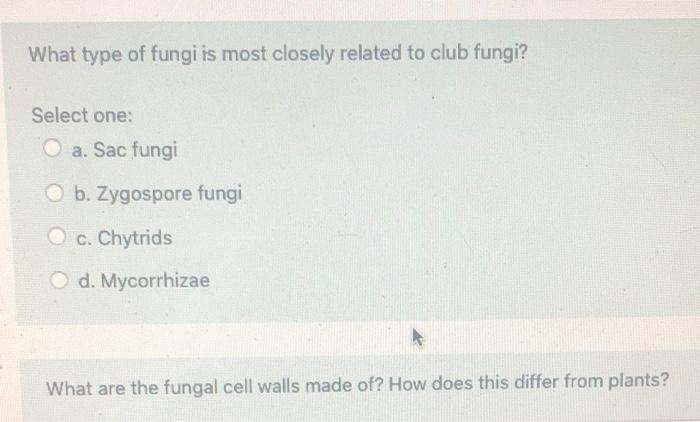 Solved What Type Of Fungi Is Most Closely Related To Club Chegg Com