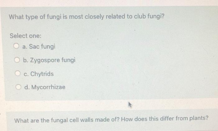 Solved What Type Of Fungi Is Most Closely Related To Club Chegg Com