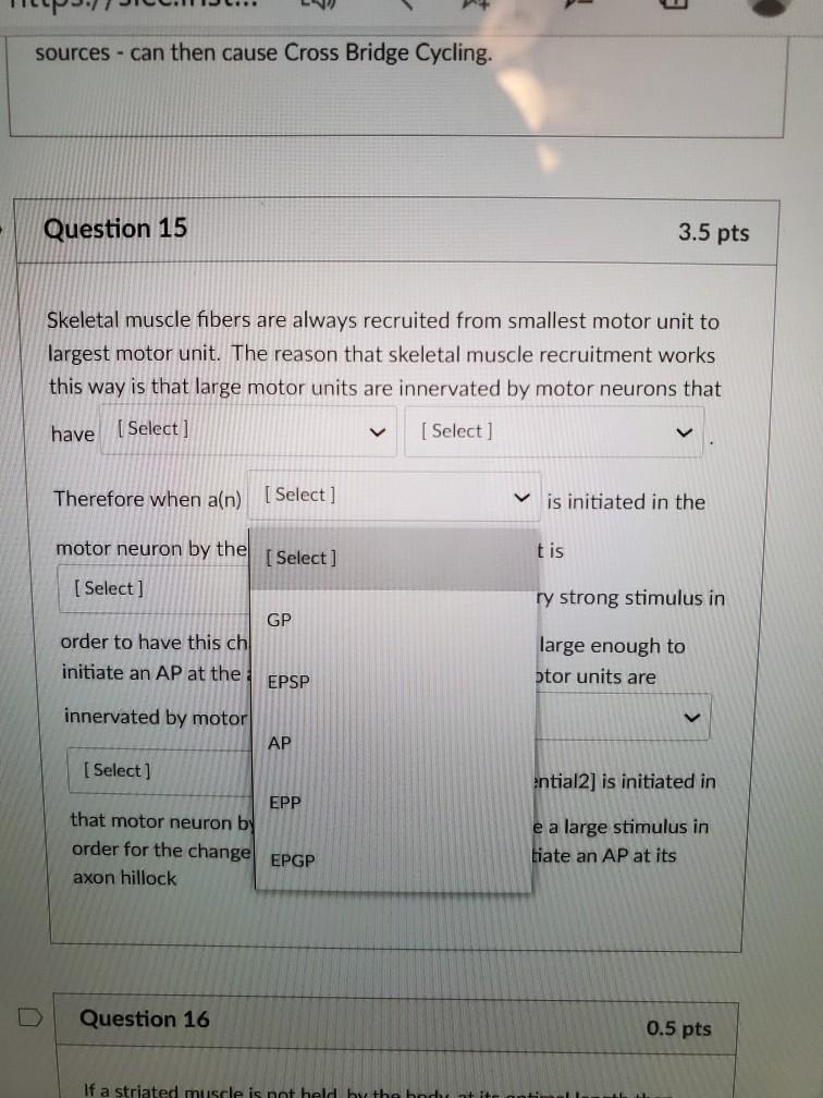 Solved Question 15 3.5 pts Skeletal muscle fibers are always | Chegg.com
