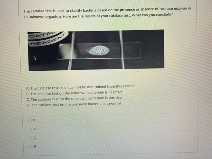 Solved The catalase test is used to classify bacteria based