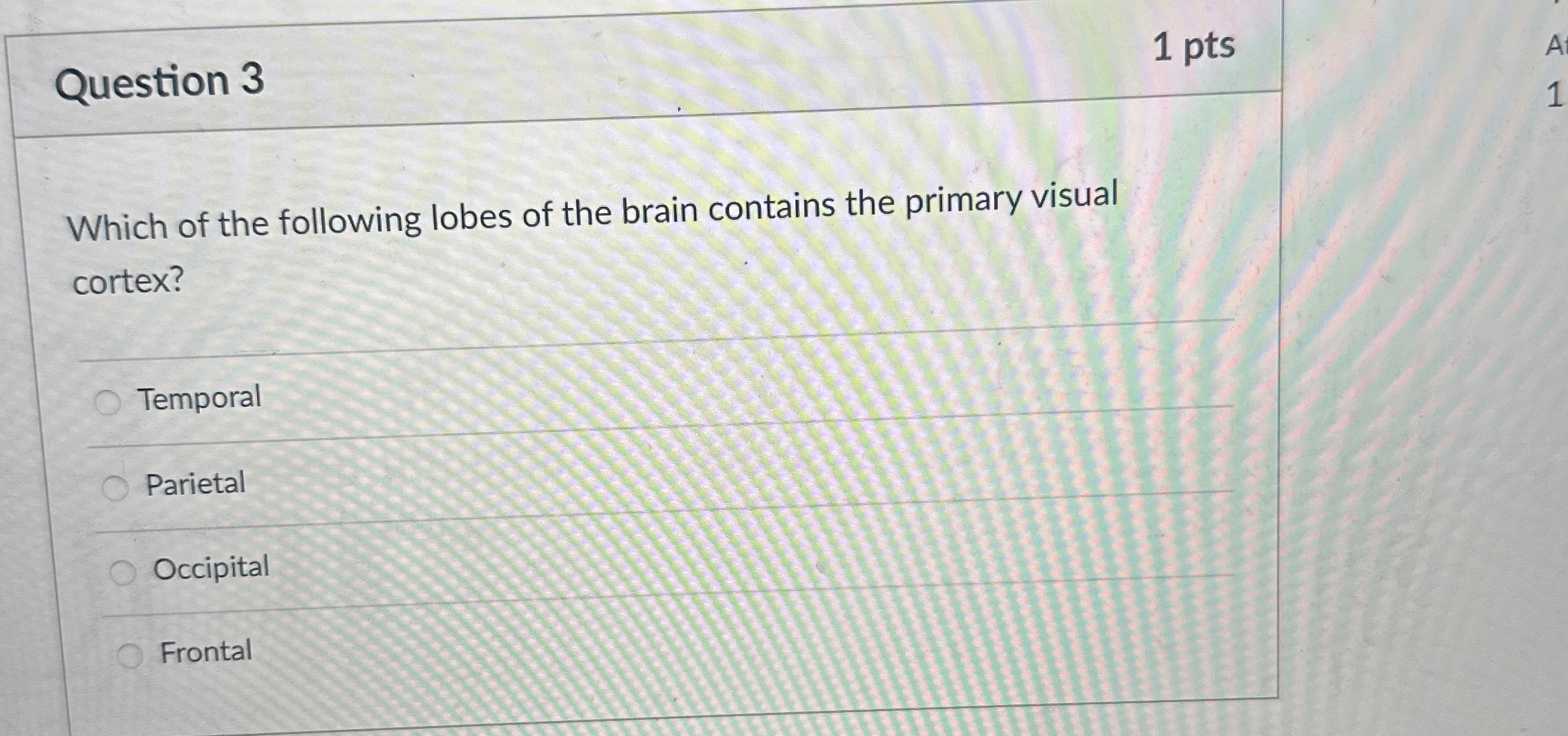 Solved Question 31 ﻿ptsWhich of the following lobes of the | Chegg.com