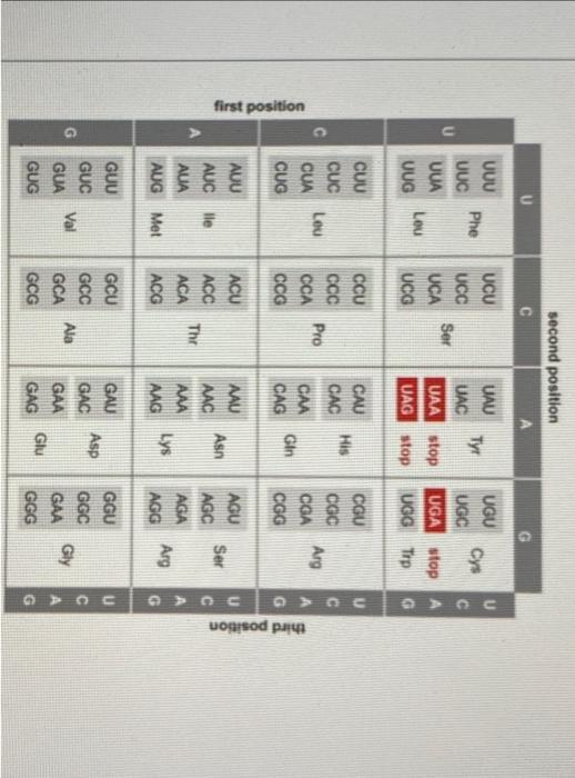 Solved 1) Use the chart to translate the following mRNA