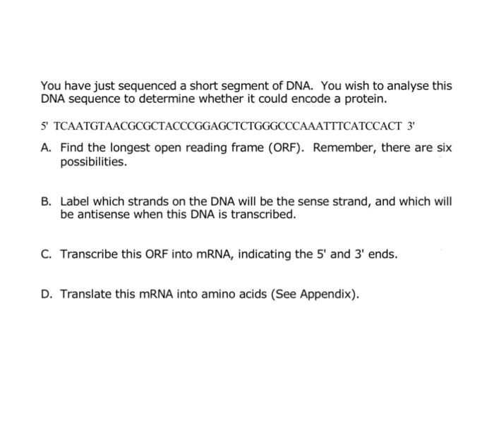 You have just sequenced a short segment of DNA. You | Chegg.com