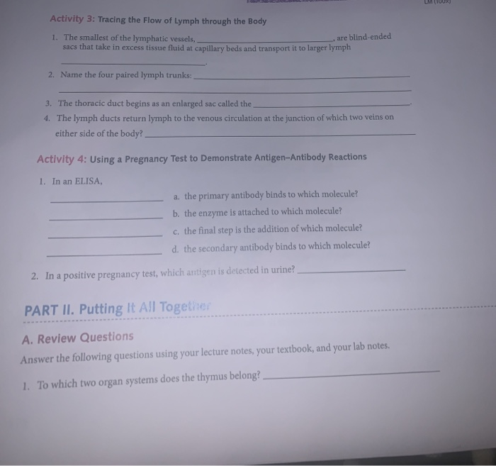 Solved UM Activity 3: Tracing the flow of Lymph through the | Chegg.com