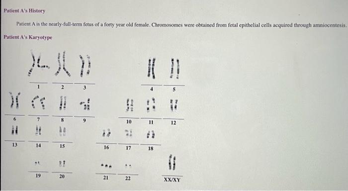 Solved You will evaluate 3 patients' case histories, | Chegg.com