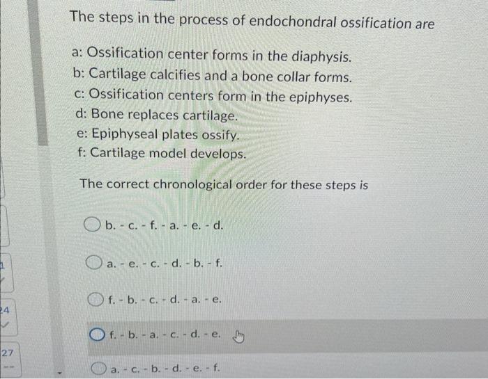 Solved The steps in the process of endochondral ossification | Chegg.com
