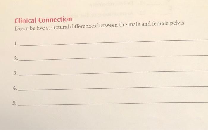 Solved Clinical Connection Describe five structural | Chegg.com