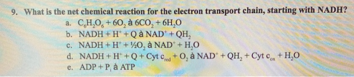 Solved 9 What Is The Net Chemical Reaction For The Elect Chegg Com