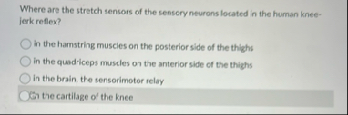 Solved Where are the stretch sensors of the sensory neurons | Chegg.com