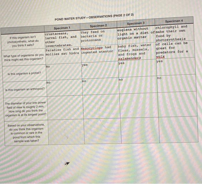 Solved POND WATER STUDY-OBSERVATIONS (PAGE 2 OF 2) Specimen | Chegg.com