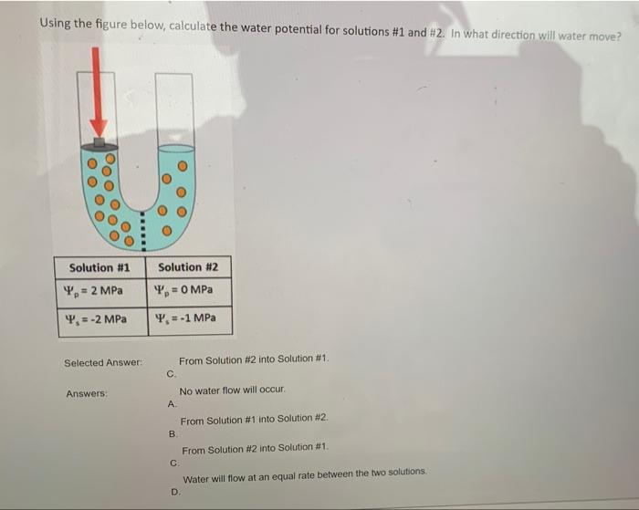 Solved Using The Figure Below, Calculate The Water Potential | Chegg.com